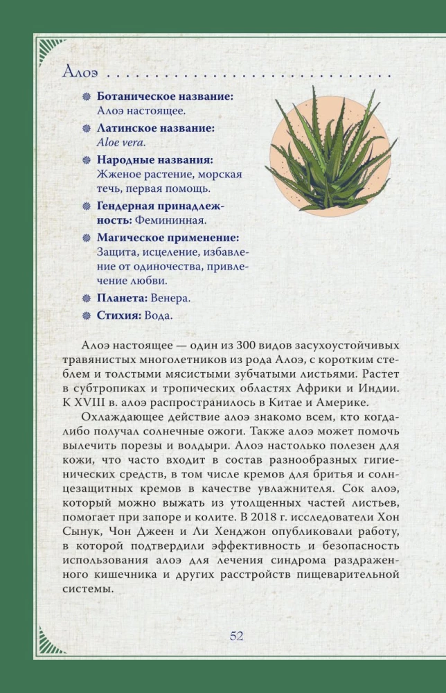 Магический мир трав. Рецепты и ритуалы для жизни